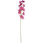 ORCHIDEEN-ZWEIG (ODONTOGLOSSUM) Kunstblume, 105 cm, pink